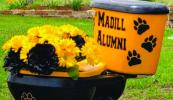 The Madill Alumni toilet has made its rounds to various businesses in Madill. Courtesy photo