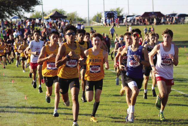 The MHS boys cross country took second in the LCC meet. Courtesy photo