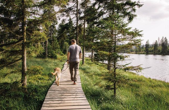 Whether someone likes to hike, run or just take a leisure stroll looking at animals, Oklahoma has a destination. Courtesy photos