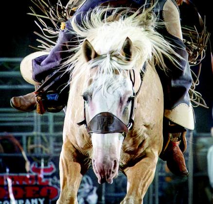 At the Rodeo