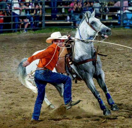 At the Rodeo