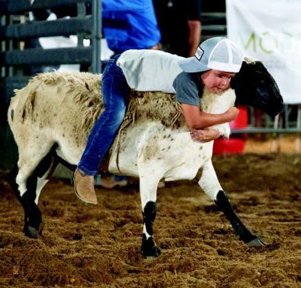 At the Rodeo