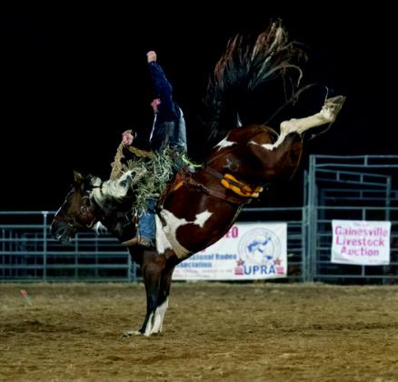 At the Rodeo
