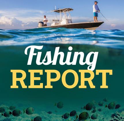 FISHING REPORT