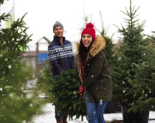 How to pick the perfect christmas