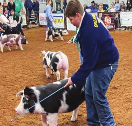 FFA and 4-H Livestock winners