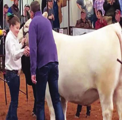 FFA and 4-H Livestock winners