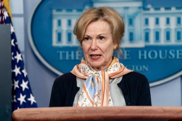 White House Coronavirus Task Force Response Coordinator Deborah Birx delivers remarks during a coronavirus update briefing Thursday, April 23, 2020, in the James S. Brady Press Briefing Room of the White House. (Official White House Photo by Andrea Hanks)