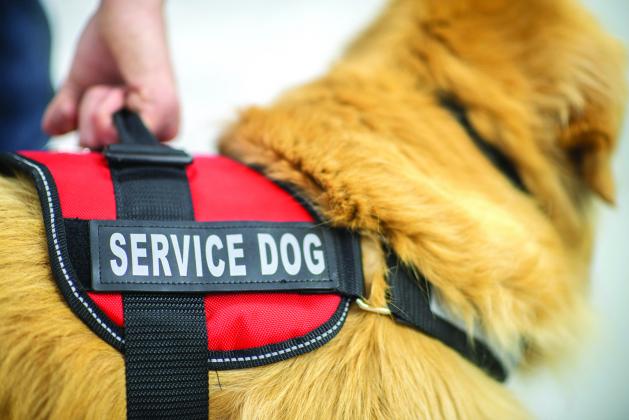 The ADA has clear regulations for businesses in regards to service animals. (Courtesy photo)