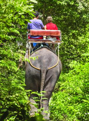 A bucket list is a plan for living life to its fullest and prioritizing opportunities to engage in all sorts of activities. (Courtesy photo)