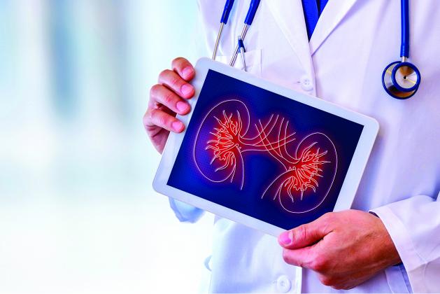Though there is no cure for CKD, the kidney health experts at World Kidney Day note that treatment can slow or halt the progression of the disease. That underscores the importance of learning to recognize potential signs of kidney disease. (Courtesy photo)