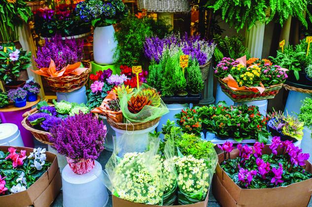 Though tried and true gifts never fail, those looking for something a little different this Valentine’s day can consider these alternatives.  (Courtesy photo)