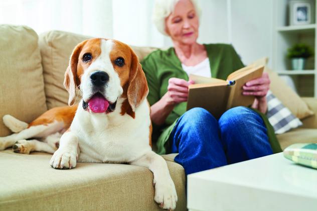 Individuals can embrace some strategies to stay mentally sharp in retirement.  (Courtesy photo)