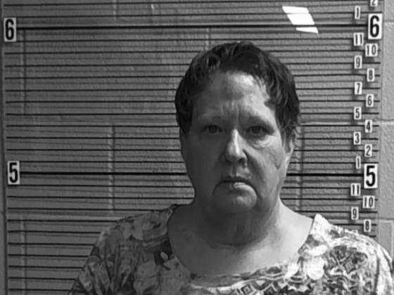 Nita Bradley, a 62-year-old from Kingston is facing multiple charges after allegedly hitting a toddler with a bat. (Courtesy photo)