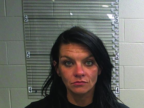 Stephanie Stowe is facing charges for Obstruction after a traffic stop. (Courtesy photo)