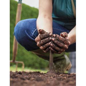 Preparing soil might seem like an extensive job, but a simple approach may be all that's necessary to create conditions that promote plant growth this spring.