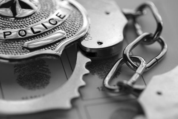 The Marshall County Sheriff's Office arrested 14 people for Cultivation of CDS after finding an illegal grow operation. (Courtesy photo)