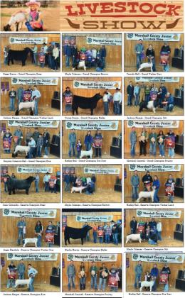 LIVESTOCK SHOW