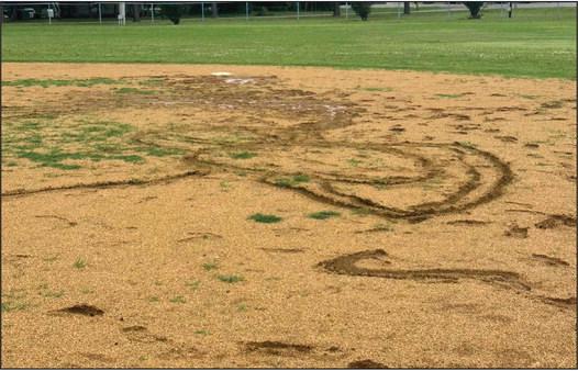 The Madill baseball fields were damaged after somebody drove a vehicle on it after the rain. Courtesy photo