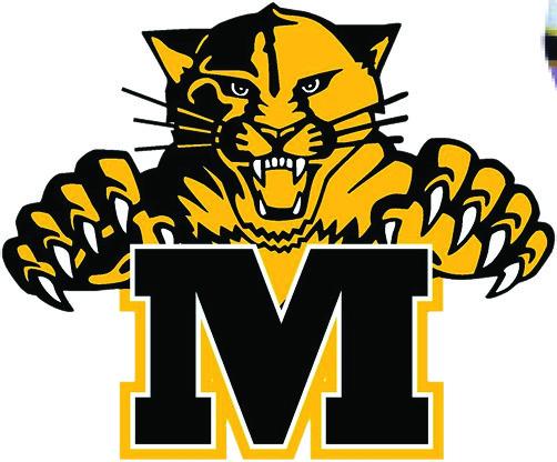 Experienced Lady Cat aiming for bigger things