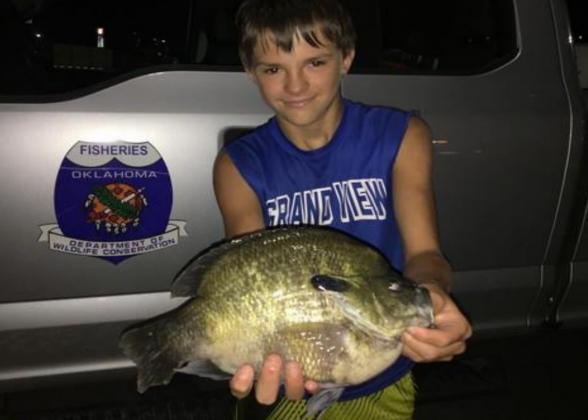 A near record bluegill was caught by 13 year-old Joshua Thomas from a private pond near Tahlequah. Weighing 2lbs 5oz, this bluegill almost beat the current record of 2lbs 6.4oz caught by Tom Shorter in 1987. Courtesy photo