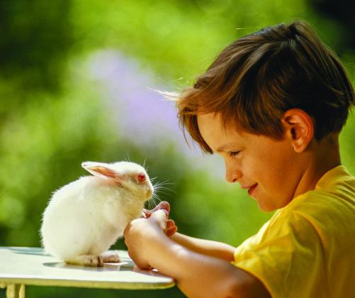 PETA is offering animal compassion curricula. Courtesy photo