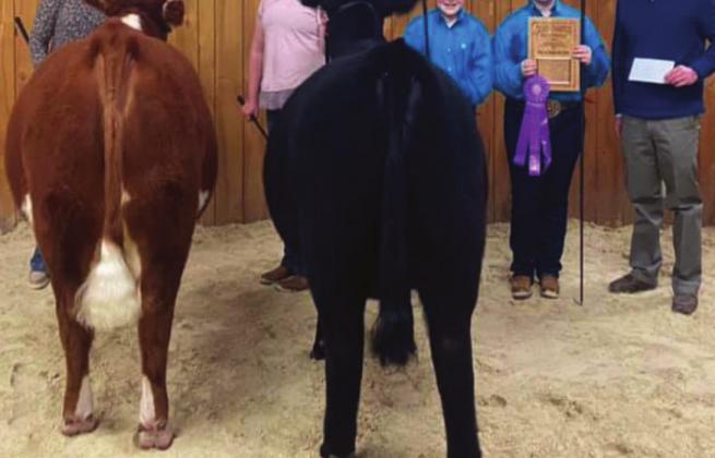MARSHALL COUNTY LIVESTOCK SHOW