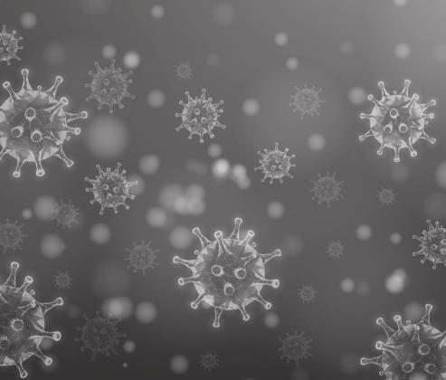 Similiarities between COVID 19 and the Spanish Flu