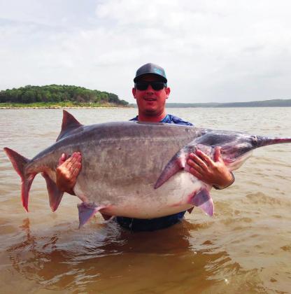 Edmond’s James Lukehart caught a possible new world record paddlefish at keystone lake on June 28. Weighing 146 pounds 11 ounces, the paddlefish beats the world record by more than 2 pounds , and Oklahoma state record by 3 pounds, 11 ounces. It was certified as Oklahomas newest ro-and-reel stat-record paddlefish by Paddlefish Research center and Northeast region Fisheries staff.Courtesy Photo • Oklahoma Department of Wildlife Conservation
