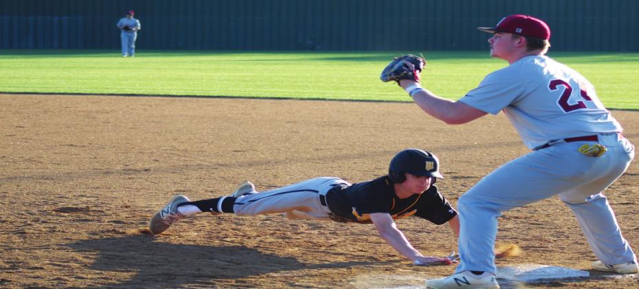 Marshall County Baseball Review