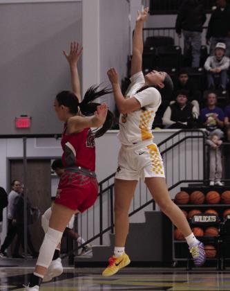 Lady Cats, Redskins claim early county battles
