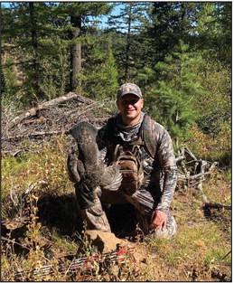 Wild turkeys and what to do with them