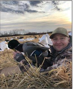 Wild turkeys and what to do with them