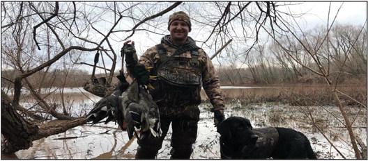 Wild turkeys and what to do with them