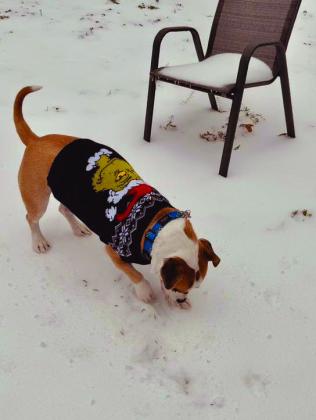 SNOW DAY