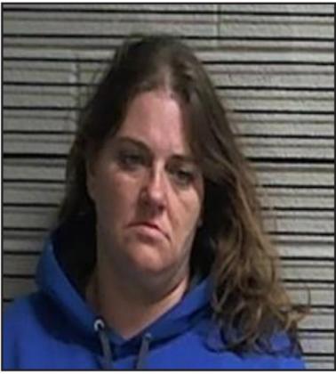 Couple claims sleeping as alibi for allegedly stealing television