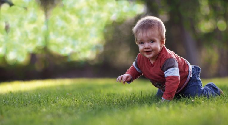 NSBF annual Diaper Dash Baby Crawl planned