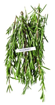 Jedi Chef Travels: How to herb