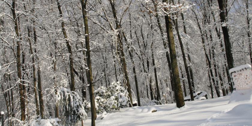 Lake-effect snow and what it means