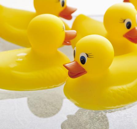 It has become tradition for a Jeep owner to leave a rubber duck on somebody else's Jeep. Courtesy photo