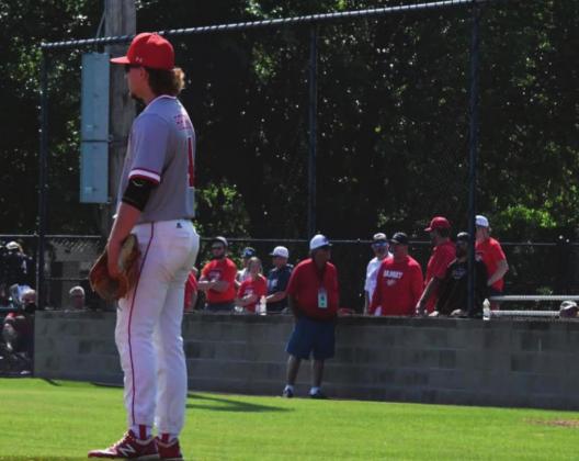 Kingston Baseball
