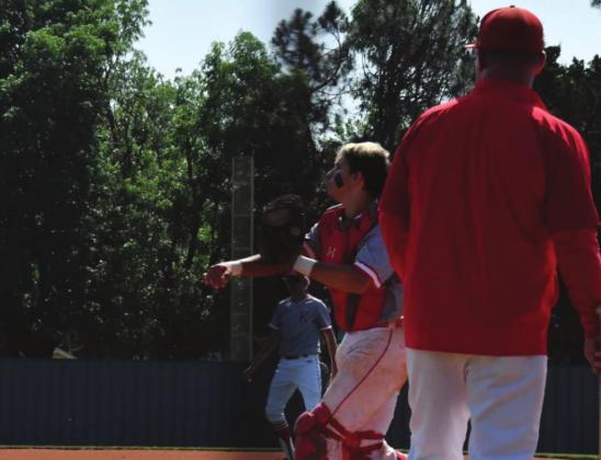 Kingston Baseball
