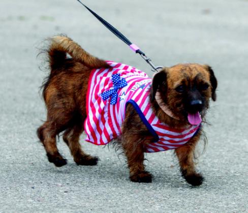 JULY 4TH PARADE