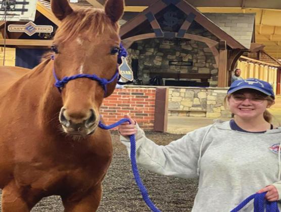 Local teen competes in equine make-over
