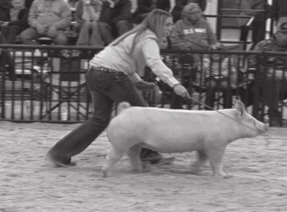 Local kids particpate in Livestock Jackpots