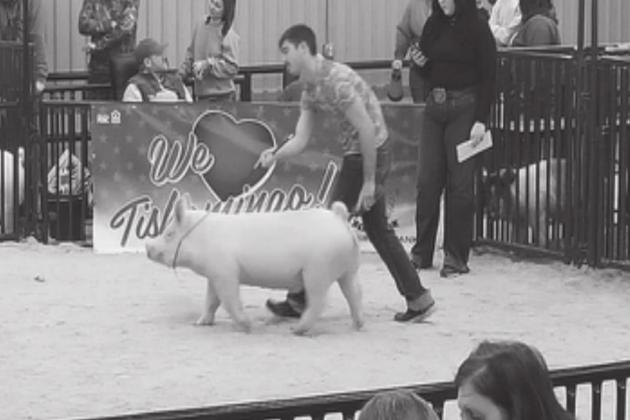 Local kids particpate in Livestock Jackpots