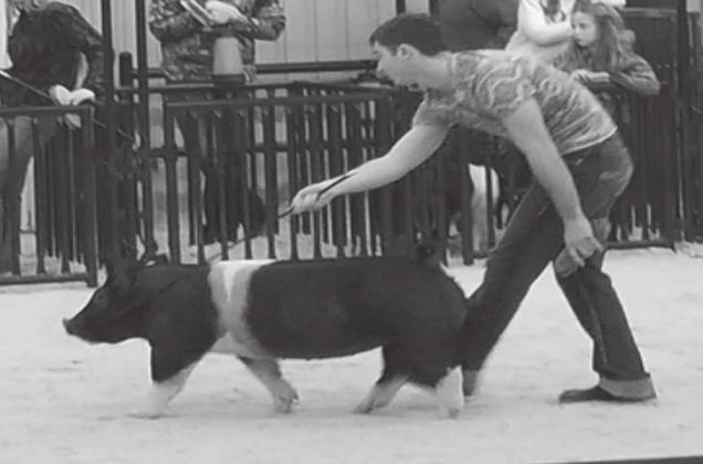 Local kids particpate in Livestock Jackpots