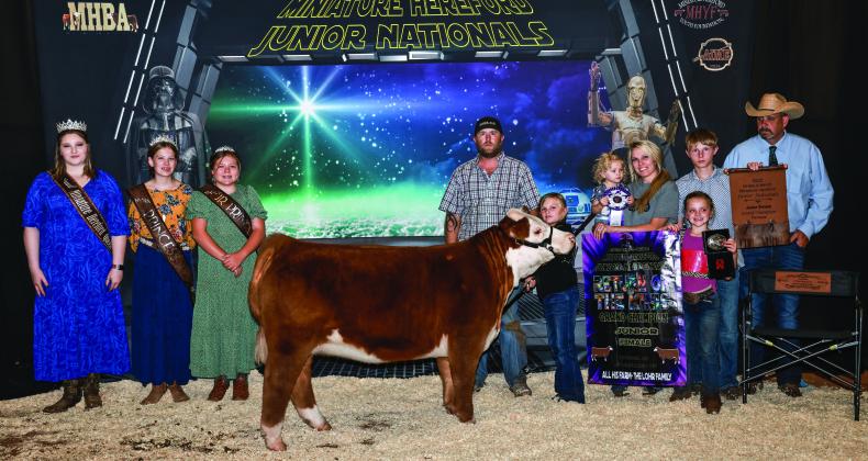 Abigail Mefford, an eight-year-old Madill student, won the Miniature Hereford Junior National Show on June 25 in Duncan, Okla. Abigail competed against contestants up to 22 years of age. Abigail, the daughter of Clint and Allison Mefford, won by showing HL Bad Brandi. Courtesy photo
