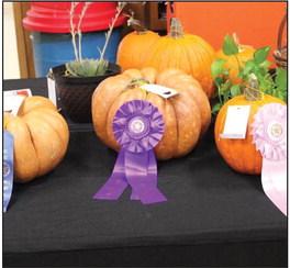 Marshall County Fair