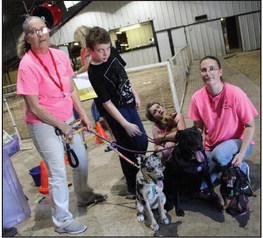 Marshall County Fair